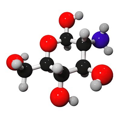 De la glucosamine pour les chevaux. Structure chimique.