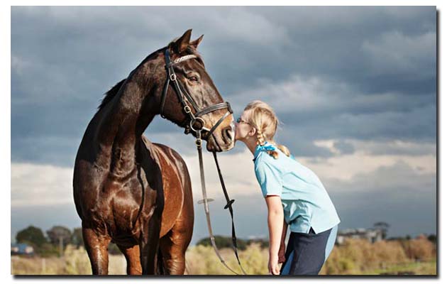 Jeune fille donne un baisser à son cheval.